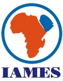 Institute for Africa and Middle East Studies