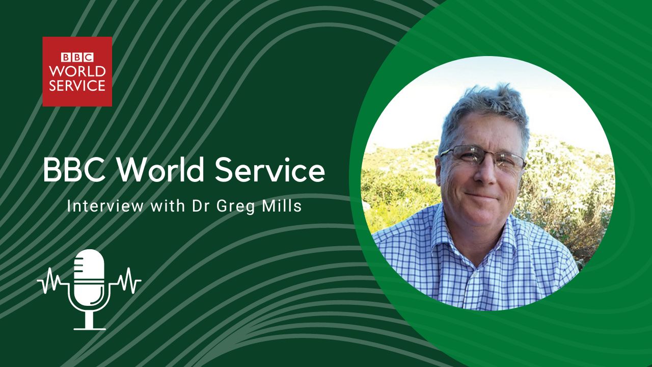 BBC World Service Interview with Dr Greg Mills